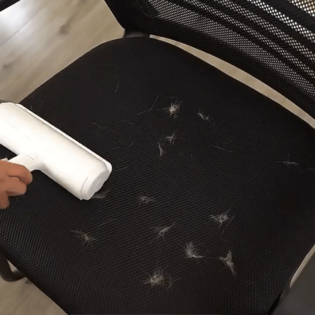 Pet Hair Remover